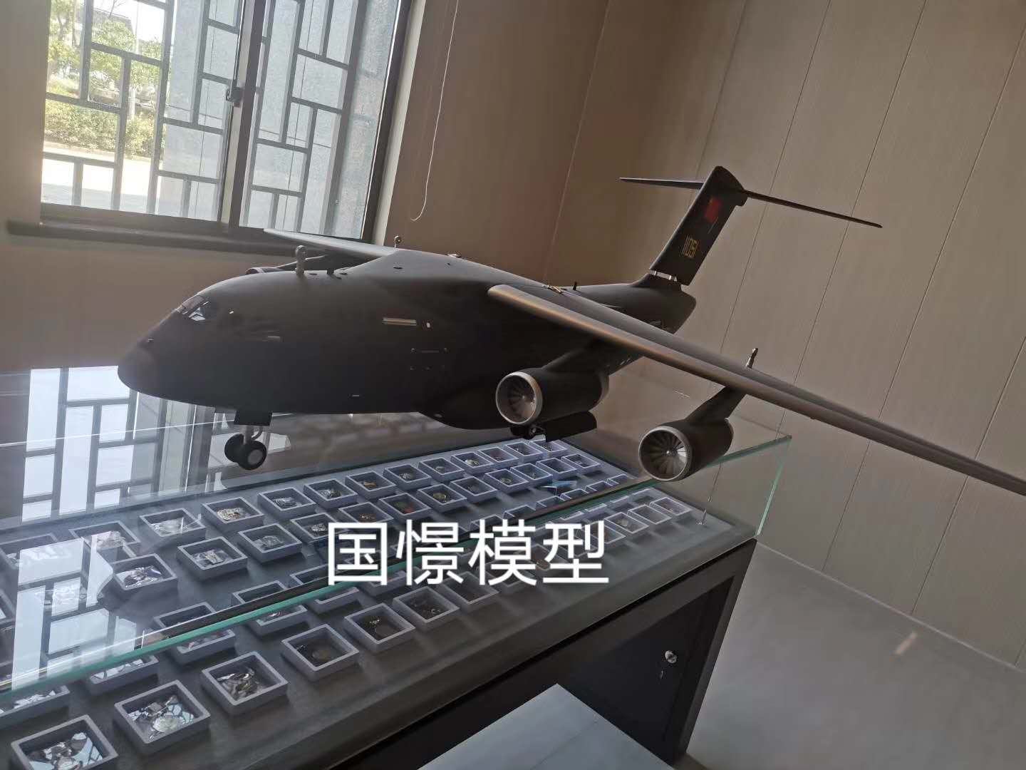 宁南县飞机模型